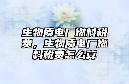 生物質(zhì)電廠燃料稅費，生物質(zhì)電廠燃料稅費怎么算