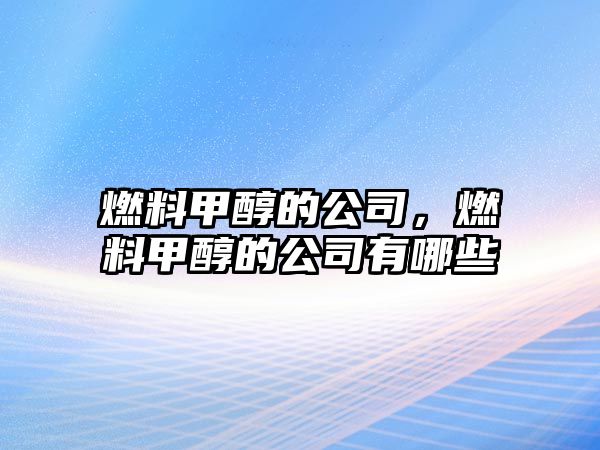 燃料甲醇的公司，燃料甲醇的公司有哪些