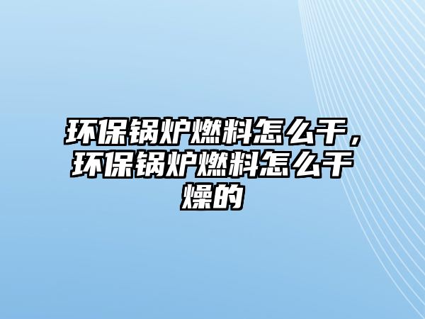 環(huán)保鍋爐燃料怎么干，環(huán)保鍋爐燃料怎么干燥的