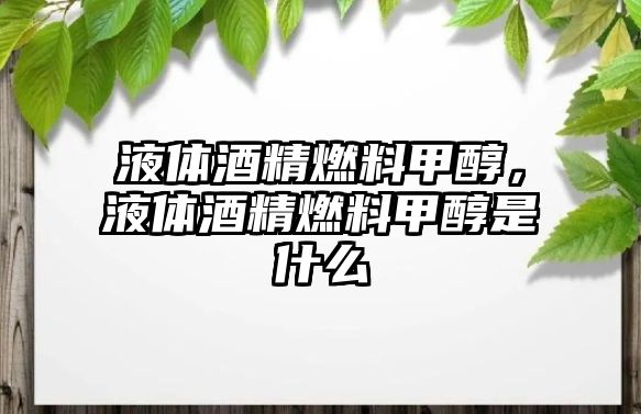 液體酒精燃料甲醇，液體酒精燃料甲醇是什么