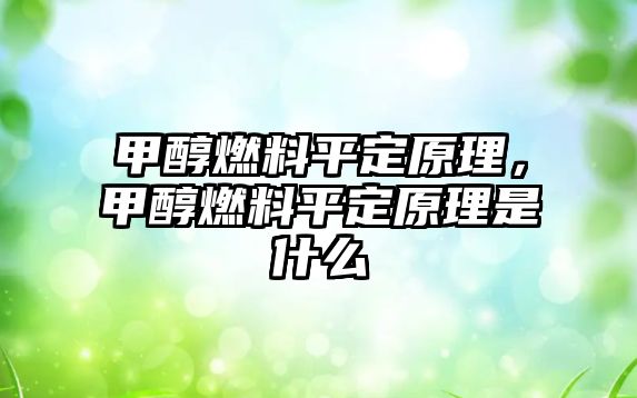 甲醇燃料平定原理，甲醇燃料平定原理是什么