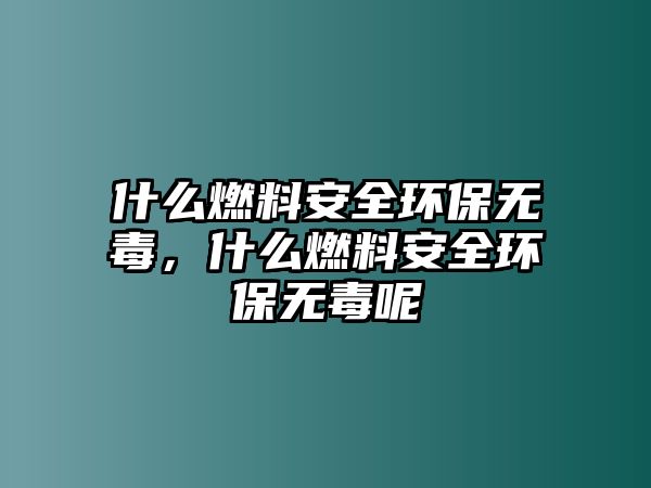 什么燃料安全環(huán)保無(wú)毒，什么燃料安全環(huán)保無(wú)毒呢