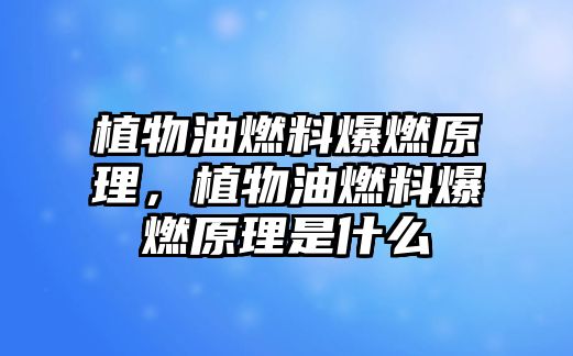 植物油燃料爆燃原理，植物油燃料爆燃原理是什么