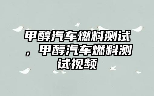 甲醇汽車燃料測(cè)試，甲醇汽車燃料測(cè)試視頻