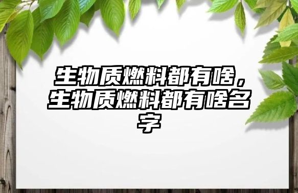 生物質(zhì)燃料都有啥，生物質(zhì)燃料都有啥名字