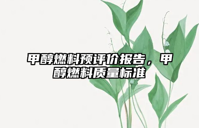 甲醇燃料預評價報告，甲醇燃料質(zhì)量標準