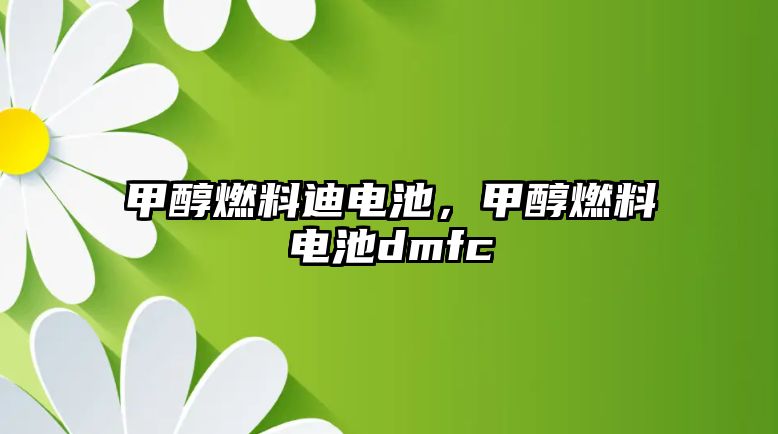 甲醇燃料迪電池，甲醇燃料電池dmfc