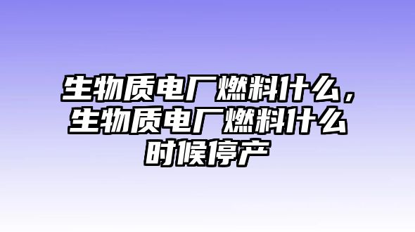 生物質(zhì)電廠燃料什么，生物質(zhì)電廠燃料什么時(shí)候停產(chǎn)