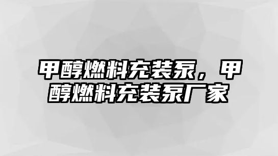 甲醇燃料充裝泵，甲醇燃料充裝泵廠家