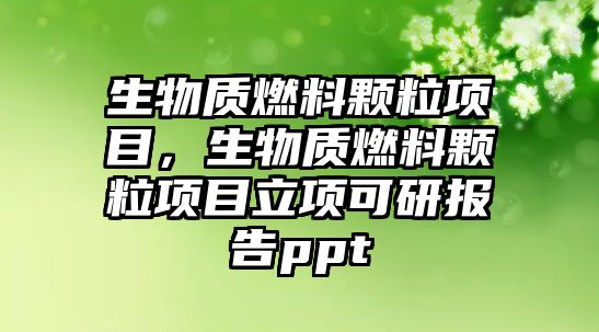 生物質燃料顆粒項目，生物質燃料顆粒項目立項可研報告ppt