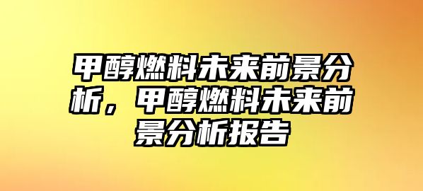 甲醇燃料未來前景分析，甲醇燃料未來前景分析報告