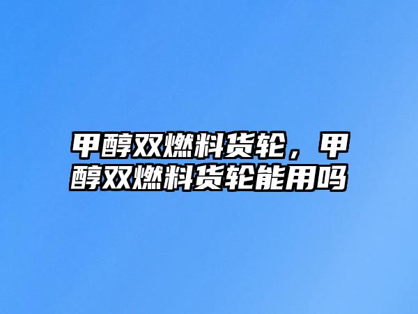 甲醇雙燃料貨輪，甲醇雙燃料貨輪能用嗎