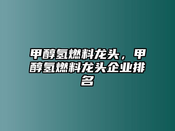 甲醇?xì)淙剂淆堫^，甲醇?xì)淙剂淆堫^企業(yè)排名