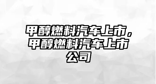 甲醇燃料汽車上市，甲醇燃料汽車上市公司