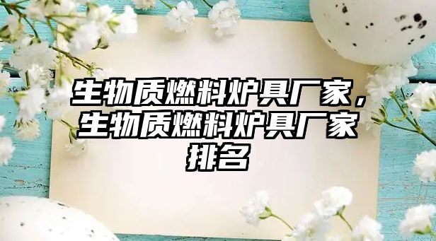 生物質(zhì)燃料爐具廠家，生物質(zhì)燃料爐具廠家排名