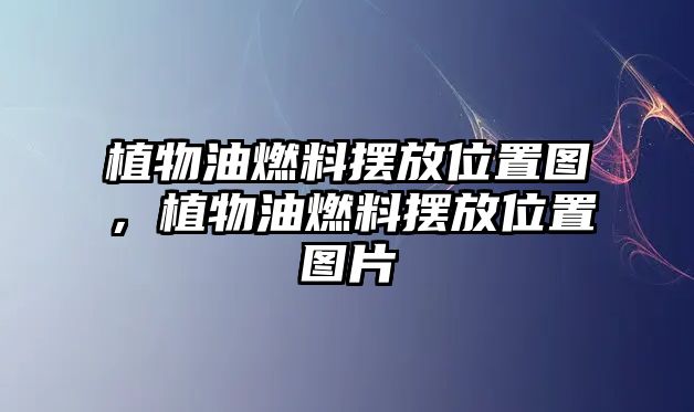 植物油燃料擺放位置圖，植物油燃料擺放位置圖片