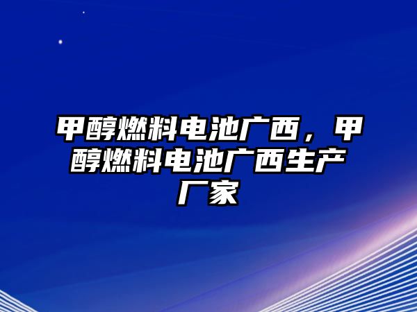 甲醇燃料電池廣西，甲醇燃料電池廣西生產(chǎn)廠家