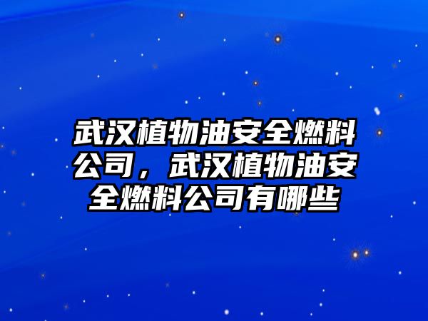 武漢植物油安全燃料公司，武漢植物油安全燃料公司有哪些