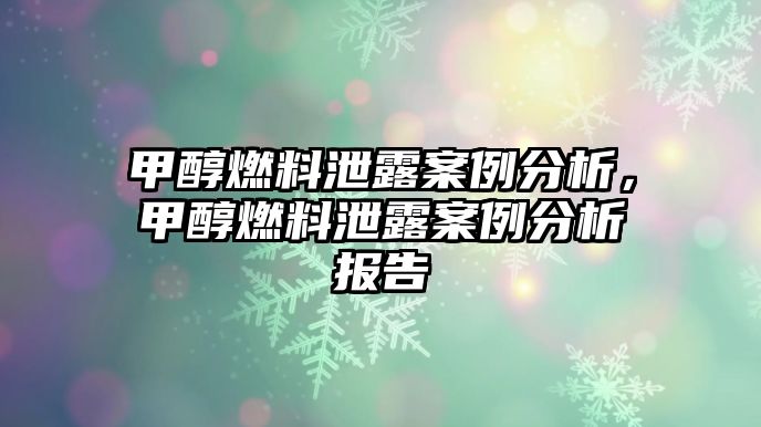 甲醇燃料泄露案例分析，甲醇燃料泄露案例分析報(bào)告