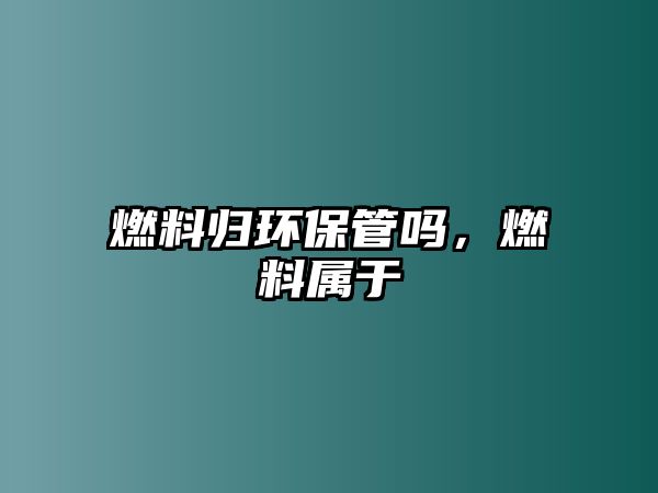 燃料歸環(huán)保管嗎，燃料屬于