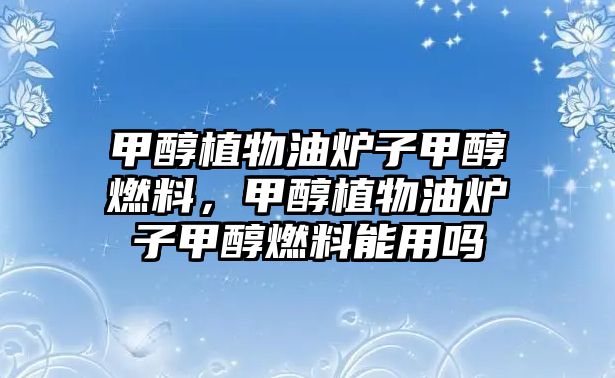 甲醇植物油爐子甲醇燃料，甲醇植物油爐子甲醇燃料能用嗎