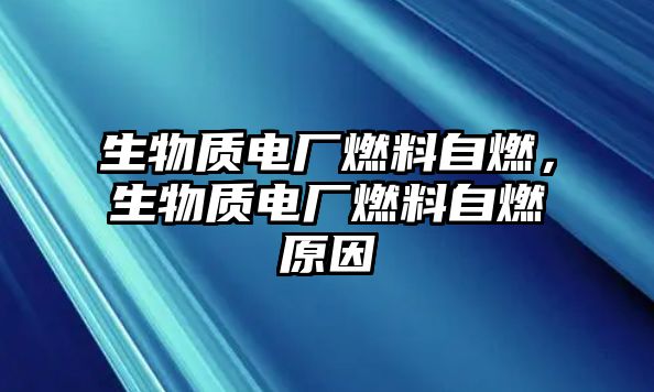 生物質(zhì)電廠燃料自燃，生物質(zhì)電廠燃料自燃原因