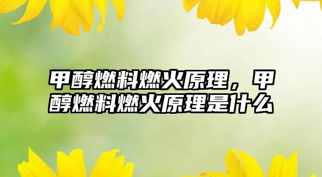 甲醇燃料燃火原理，甲醇燃料燃火原理是什么