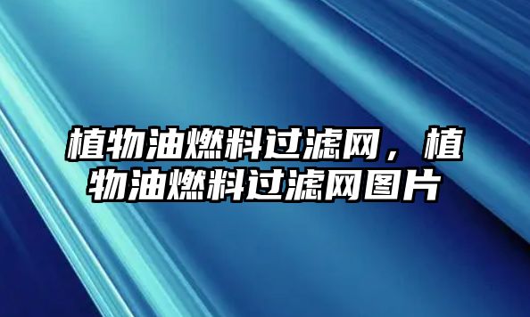 植物油燃料過濾網(wǎng)，植物油燃料過濾網(wǎng)圖片