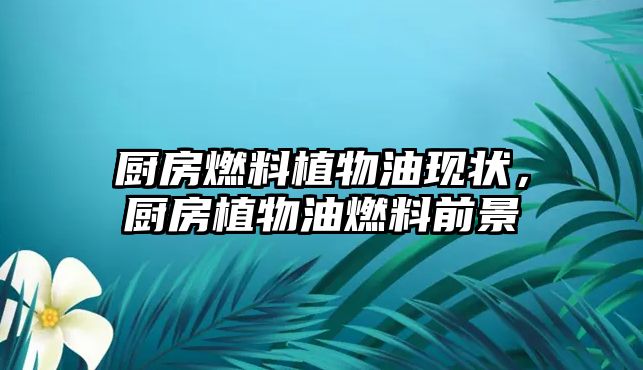 廚房燃料植物油現(xiàn)狀，廚房植物油燃料前景