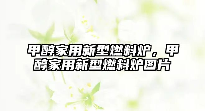 甲醇家用新型燃料爐，甲醇家用新型燃料爐圖片