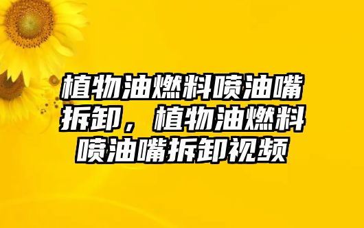 植物油燃料噴油嘴拆卸，植物油燃料噴油嘴拆卸視頻