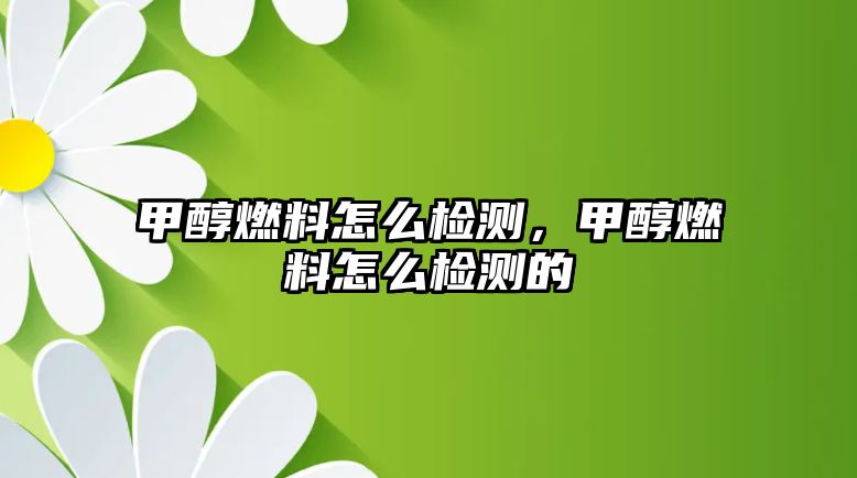 甲醇燃料怎么檢測，甲醇燃料怎么檢測的