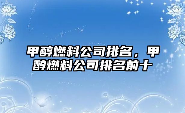 甲醇燃料公司排名，甲醇燃料公司排名前十