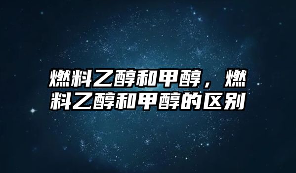 燃料乙醇和甲醇，燃料乙醇和甲醇的區(qū)別