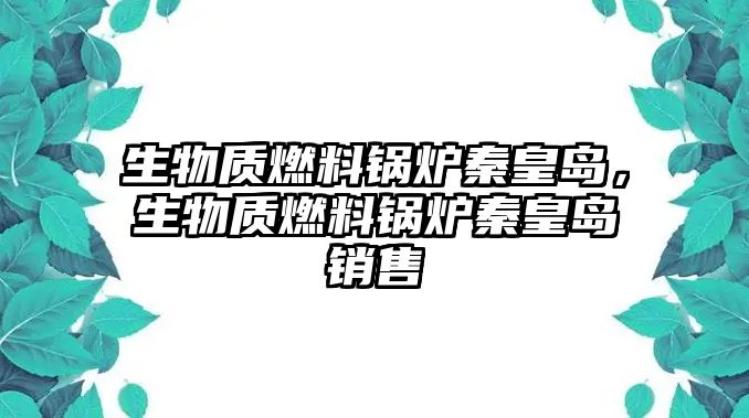 生物質(zhì)燃料鍋爐秦皇島，生物質(zhì)燃料鍋爐秦皇島銷售