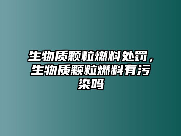 生物質顆粒燃料處罰，生物質顆粒燃料有污染嗎