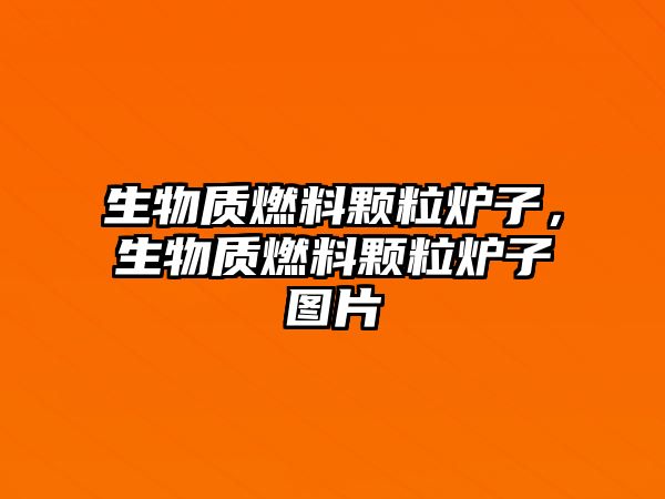 生物質燃料顆粒爐子，生物質燃料顆粒爐子圖片