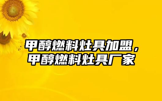 甲醇燃料灶具加盟，甲醇燃料灶具廠家