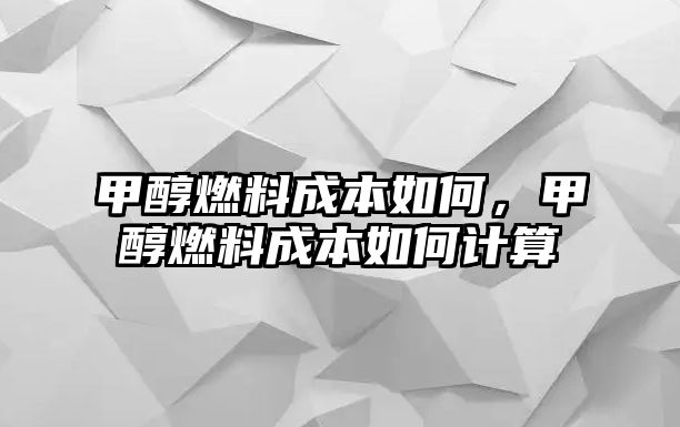 甲醇燃料成本如何，甲醇燃料成本如何計(jì)算