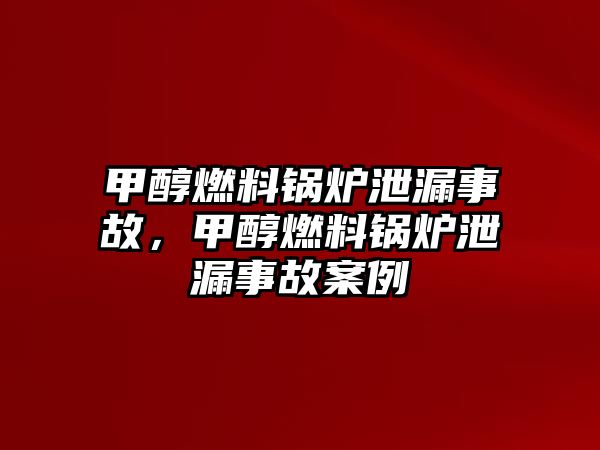 甲醇燃料鍋爐泄漏事故，甲醇燃料鍋爐泄漏事故案例