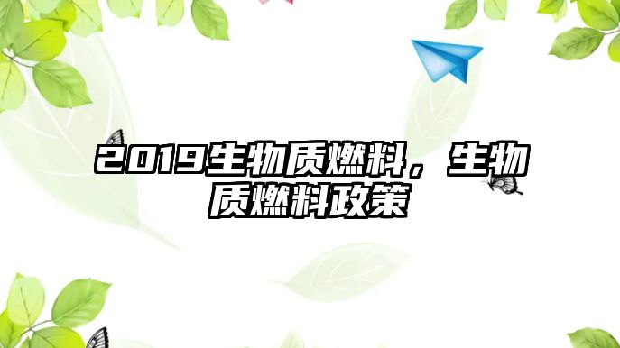 2019生物質(zhì)燃料，生物質(zhì)燃料政策