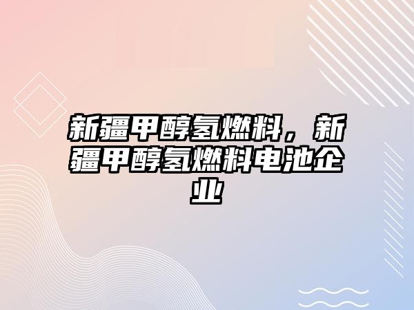 新疆甲醇?xì)淙剂?，新疆甲醇?xì)淙剂想姵仄髽I(yè)