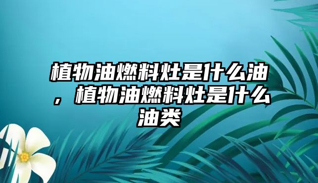 植物油燃料灶是什么油，植物油燃料灶是什么油類(lèi)