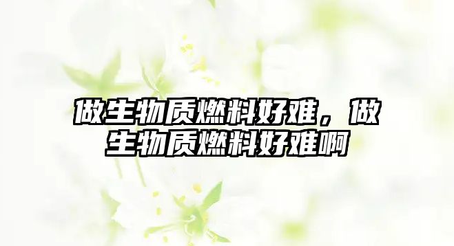 做生物質(zhì)燃料好難，做生物質(zhì)燃料好難啊