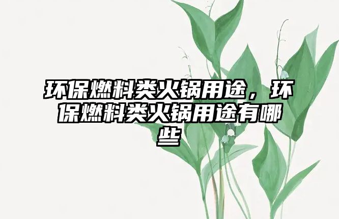 環(huán)保燃料類火鍋用途，環(huán)保燃料類火鍋用途有哪些