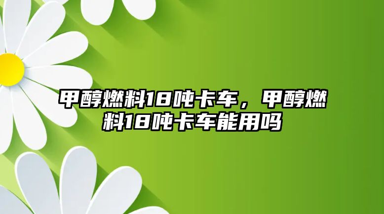 甲醇燃料18噸卡車，甲醇燃料18噸卡車能用嗎