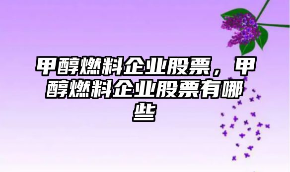 甲醇燃料企業(yè)股票，甲醇燃料企業(yè)股票有哪些