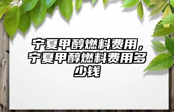 寧夏甲醇燃料費(fèi)用，寧夏甲醇燃料費(fèi)用多少錢