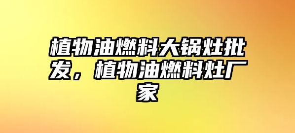 植物油燃料大鍋灶批發(fā)，植物油燃料灶廠家