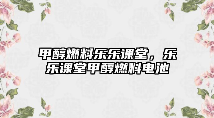 甲醇燃料樂樂課堂，樂樂課堂甲醇燃料電池